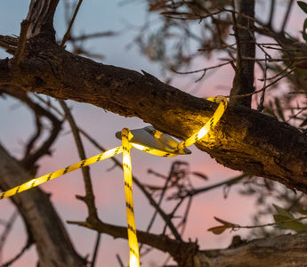Leuchtseil: Schaffen Sie die perfekte Atmosphäre für Ihre Van-Reisen