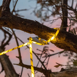 Leuchtseil: Schaffen Sie die perfekte Atmosphäre für Ihre Van-Reisen